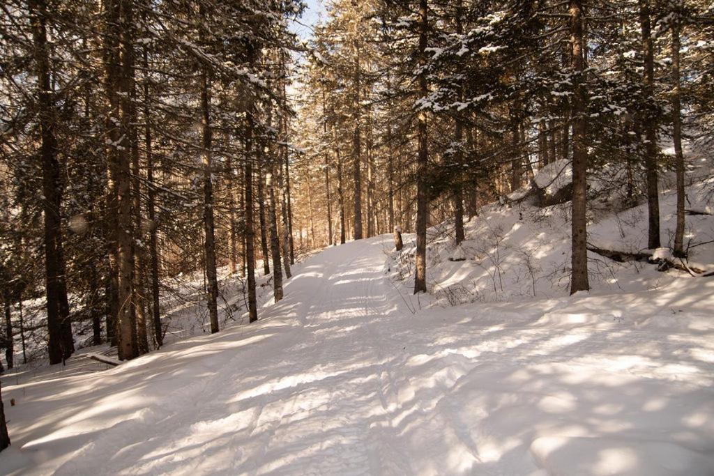 Les Racines Du P'Tit Isidore Rouyn-Noranda Esterno foto