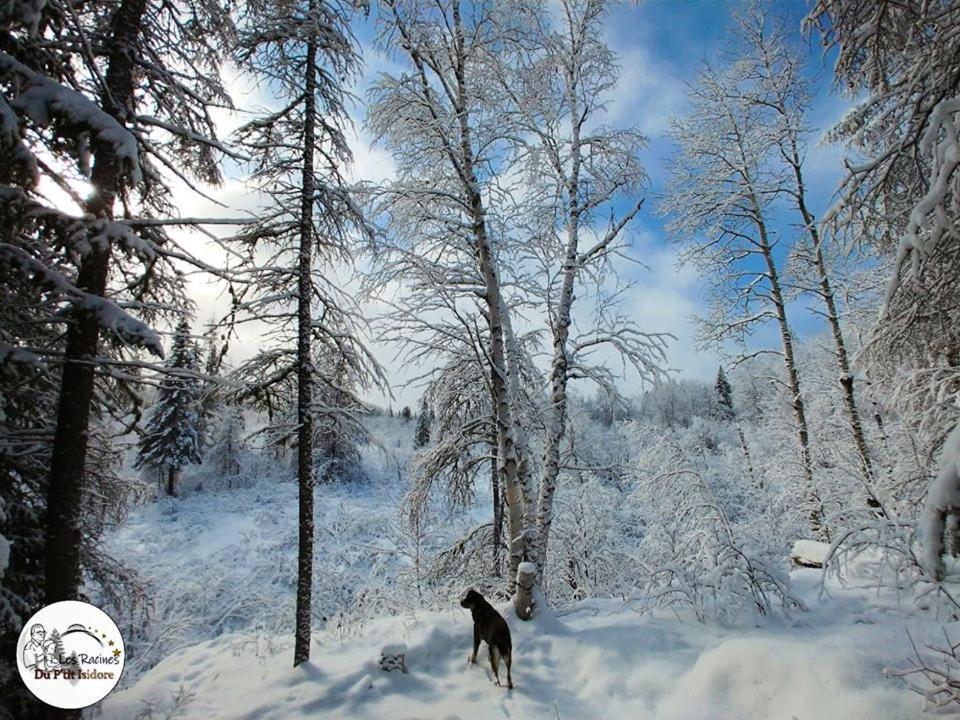 Les Racines Du P'Tit Isidore Rouyn-Noranda Esterno foto