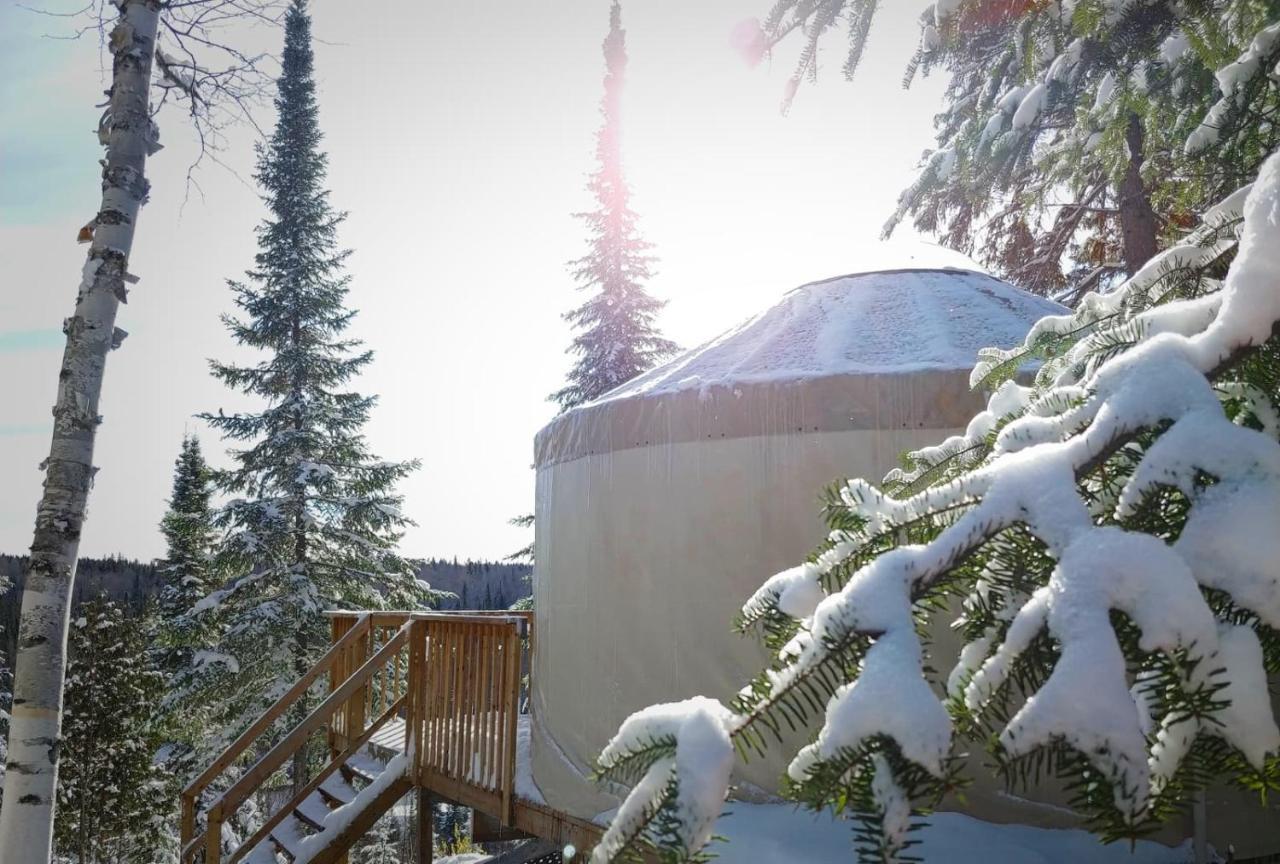 Les Racines Du P'Tit Isidore Rouyn-Noranda Esterno foto